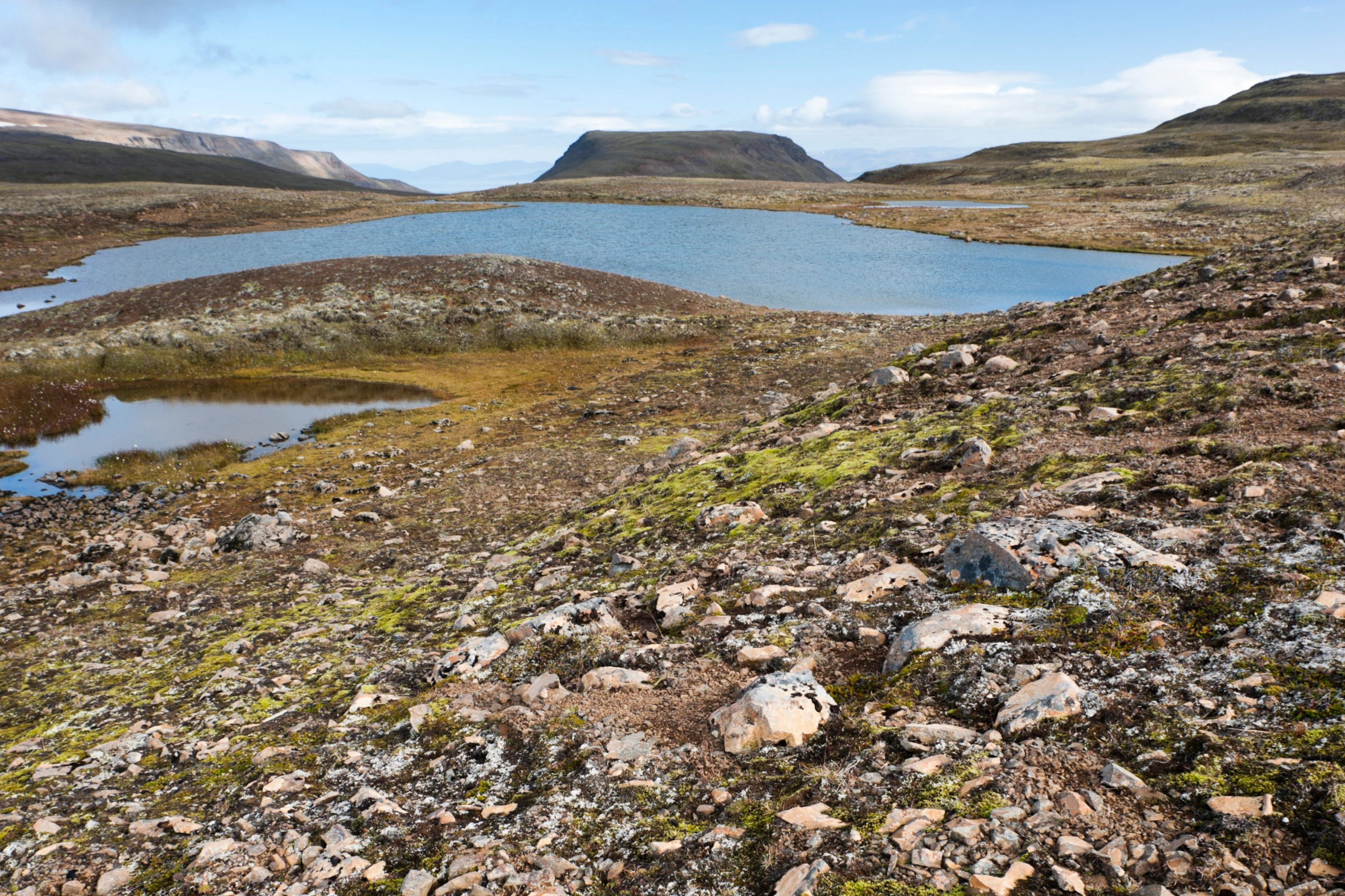 Europa_Island[1].webp